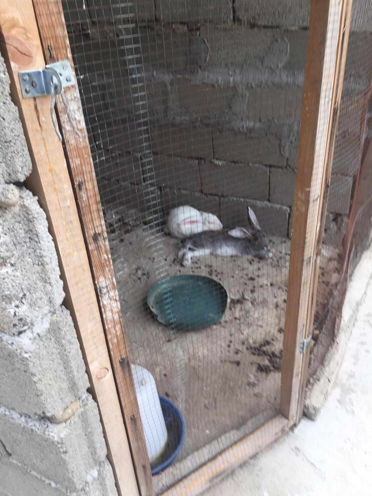 Partskhanaqanevi Mera Hostel المظهر الخارجي الصورة